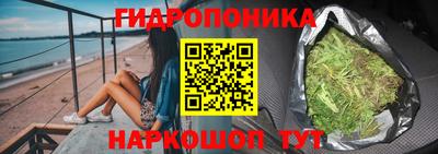 стаф Обнинск
