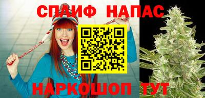 стаф Обнинск