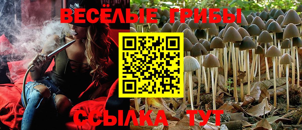 Галлюциногенные грибы ЛСД Старая Купавна